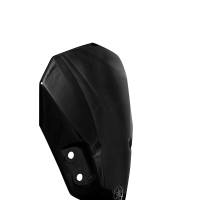 Visor for FZS