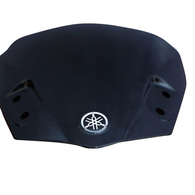 Visor for FZS
