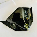 VISOR FOR ALL BIKES